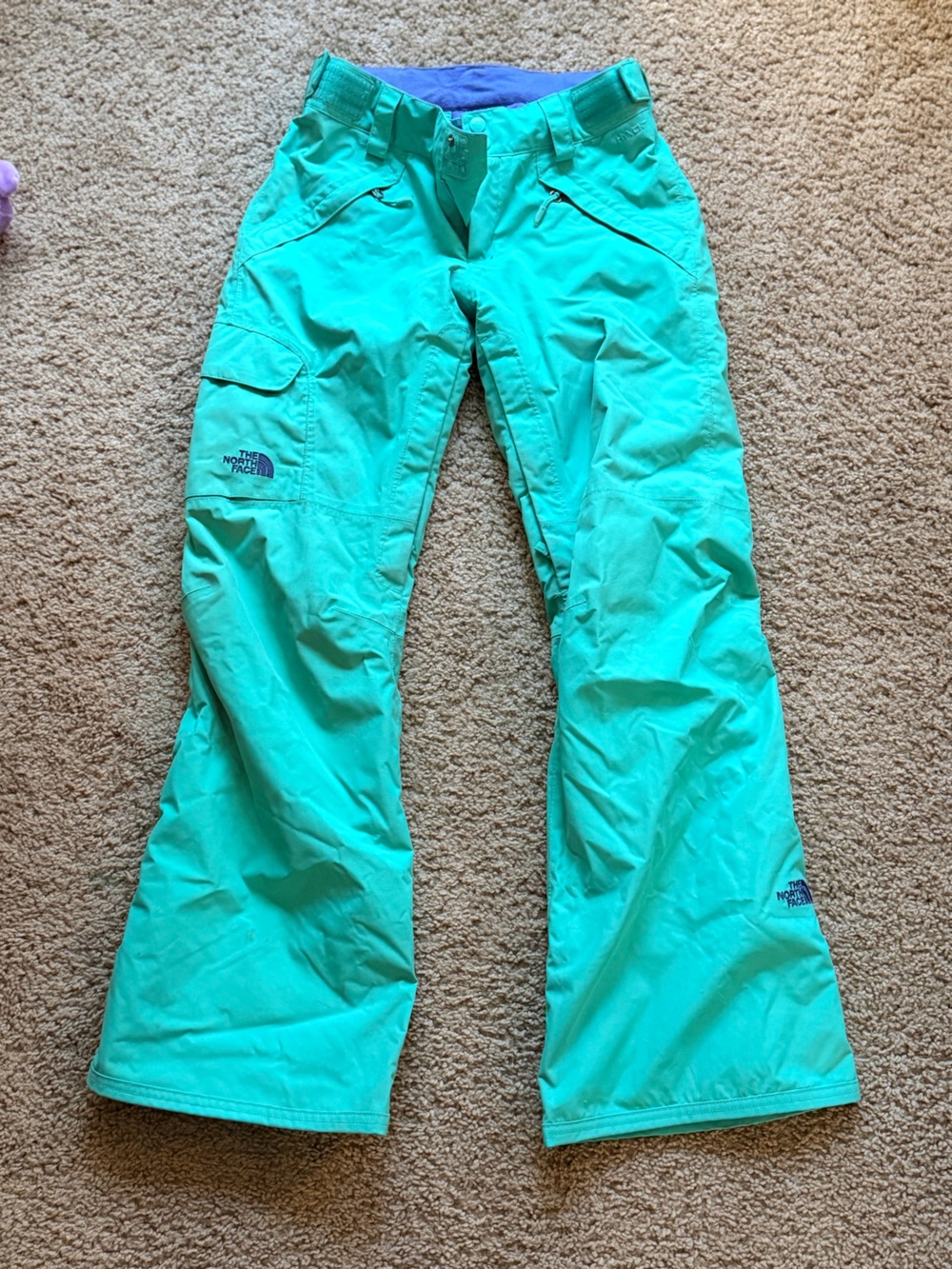 The North Face A7MP Women's Freedom Insulated Ski Snow Pants TEAL Size XS